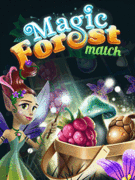 Magic Forest Match
