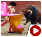 Crazy Funny Bullfighting Bloopers