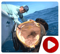 When Fishing Goes Wrong